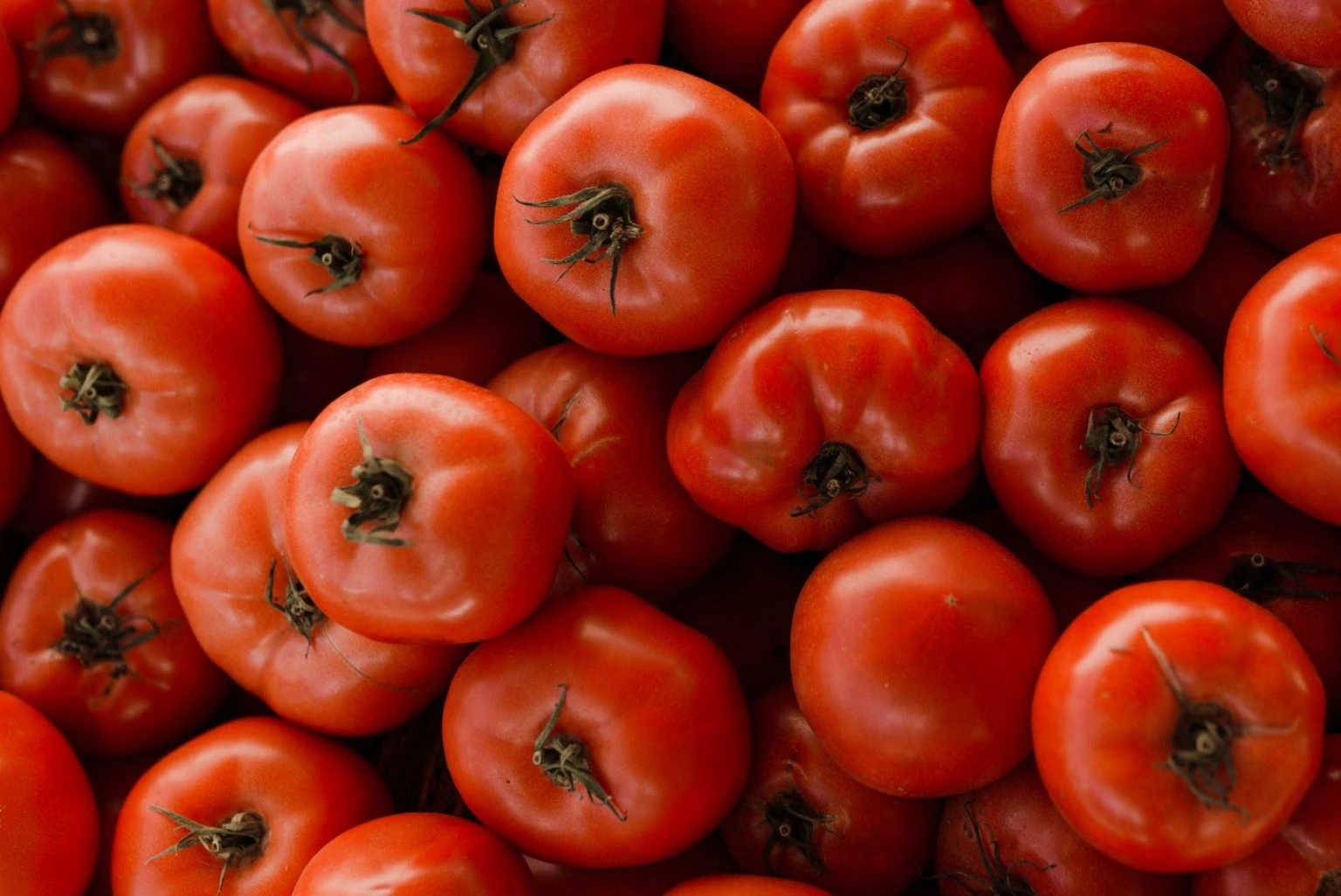 Tomaten